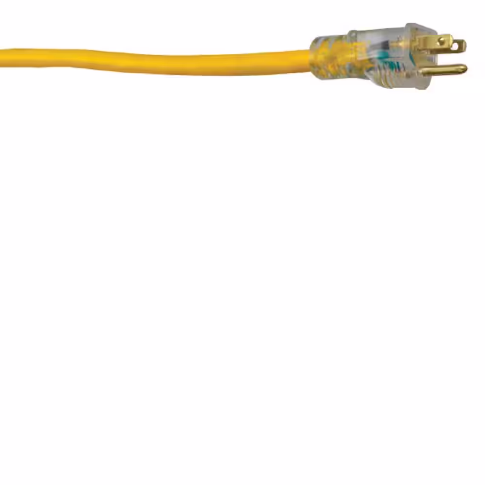 Southwire 25 ft. 12/3 SJTW Outdoor Heavy-Duty Extension Cord with Power Light Plug